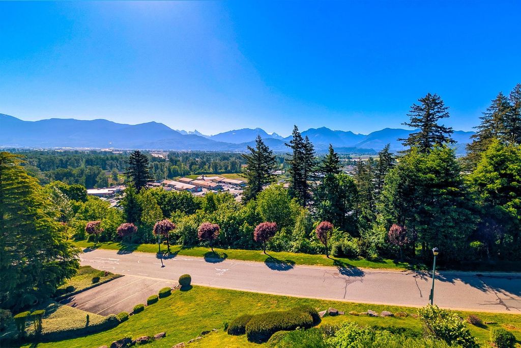 listing image 1106742257276731681