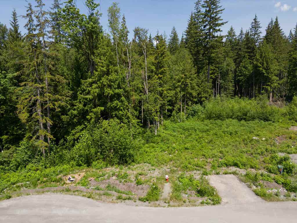 Photo of 27031 124b Avenue, Maple Ridge, BC V2W 1C2 (MLS # R3135686)