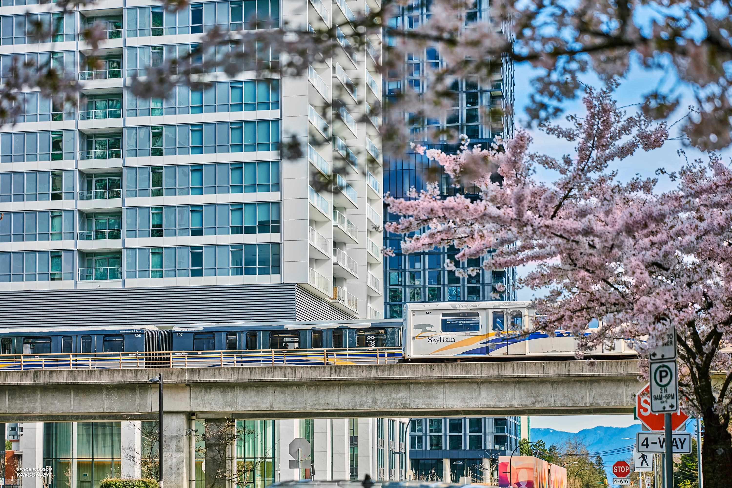 6087 Wilson Avenue 3706