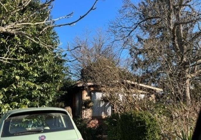 12449 114 AVENUE, SURREY, BC V3V 3N8 - Image 3955280018.jpeg?d=l