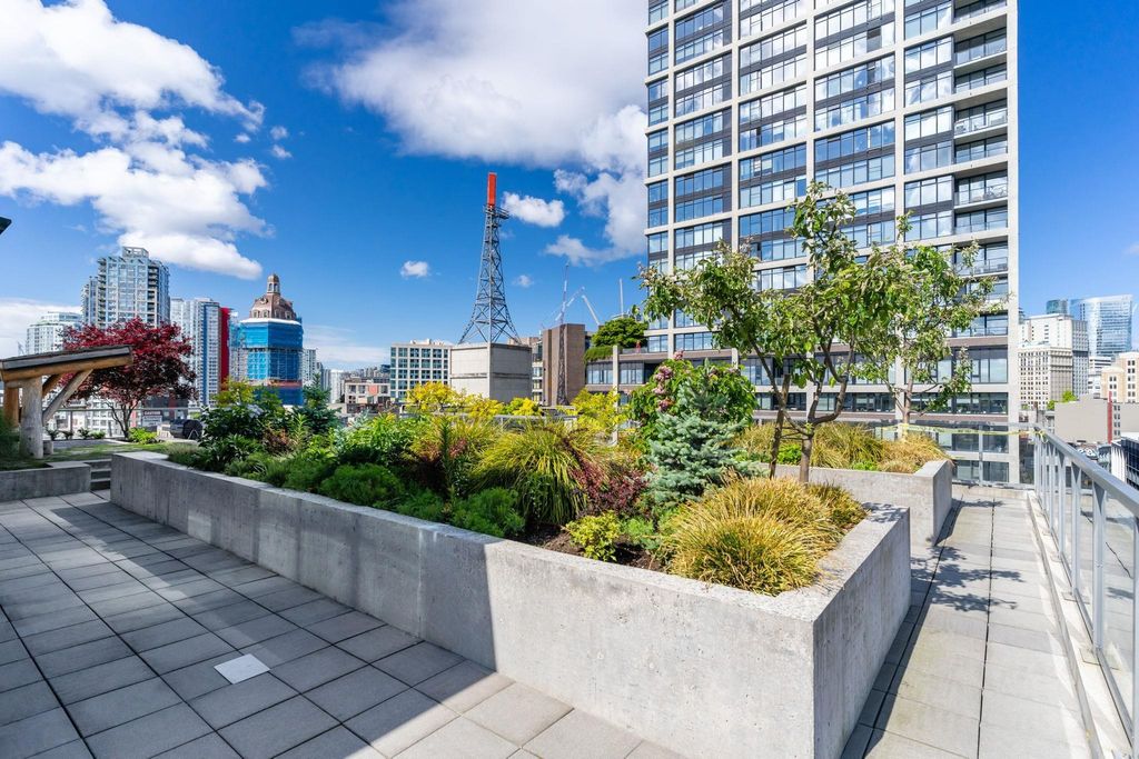 listing image 1101876861315684881