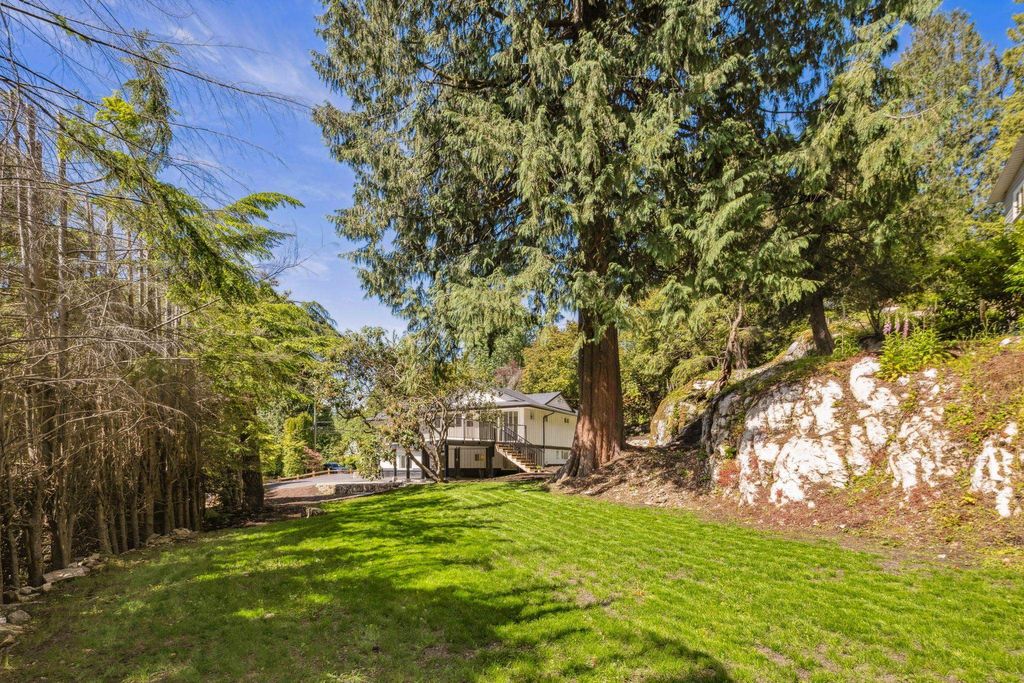 listing image 1103125532448753527