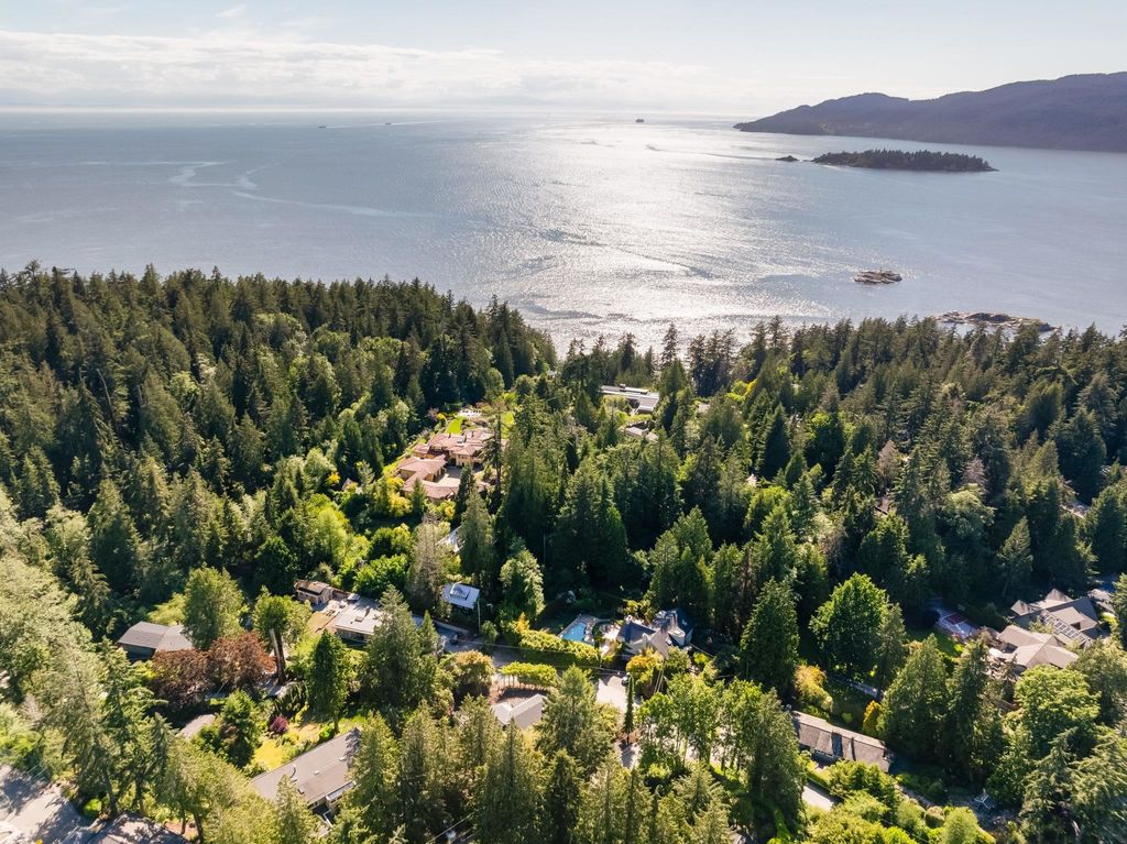 listing image 1105923044978840011