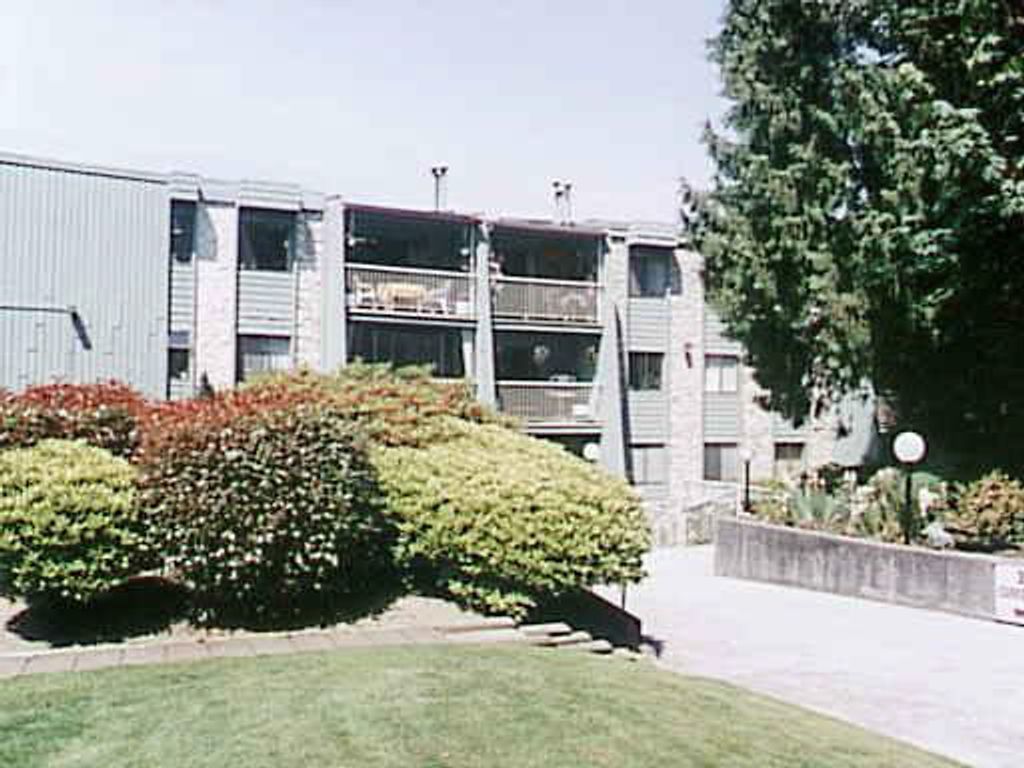 listing image 1109530949711845825