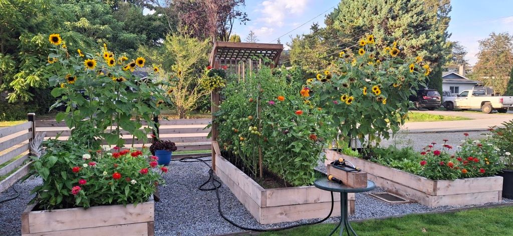 listing image 1104979474990777253