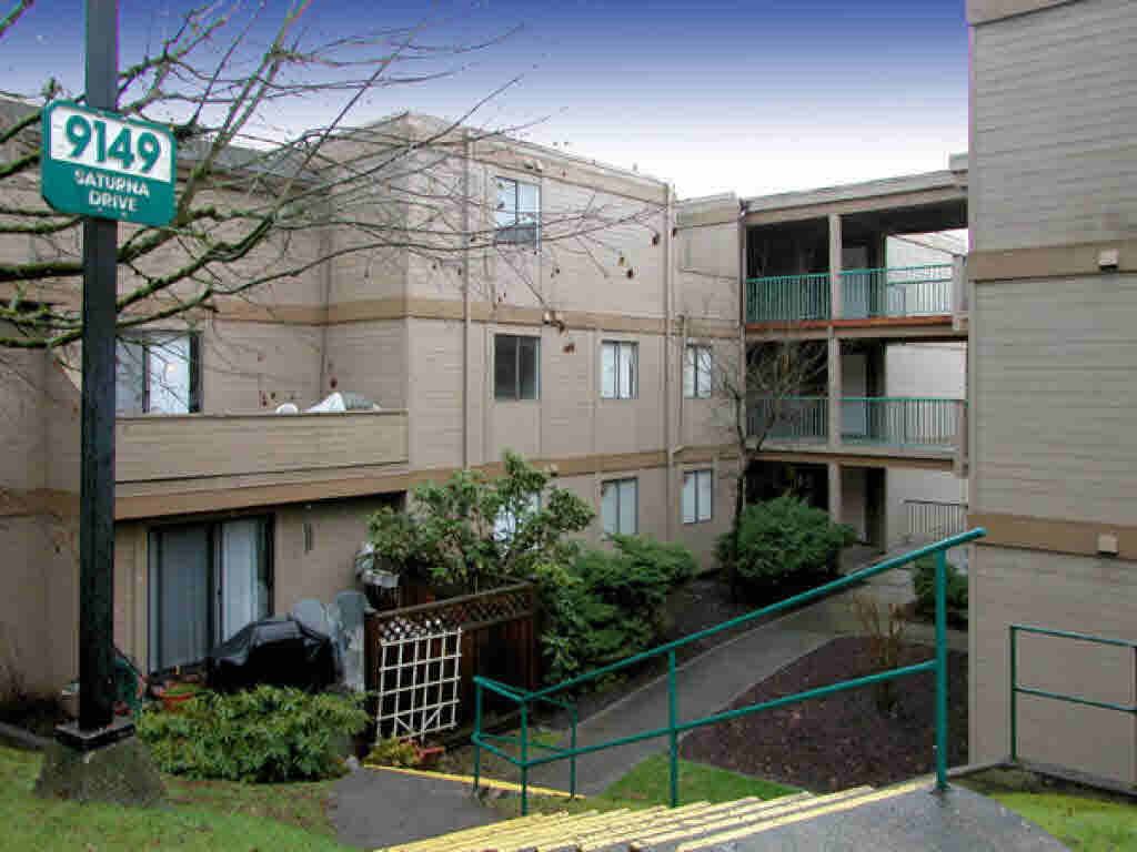 listing image 1105036654141673763