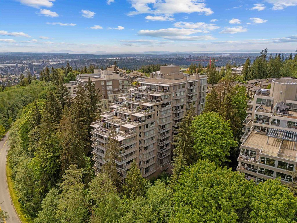 listing image 1103489359478997005