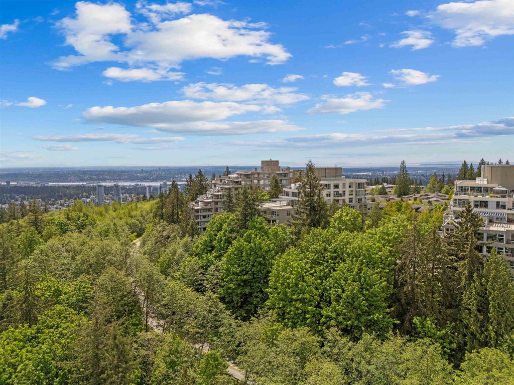 listing image 1103921356740152161