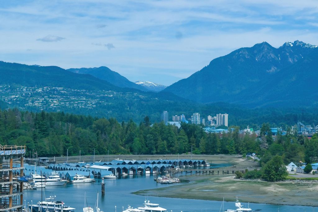 listing image 1104698388006192059