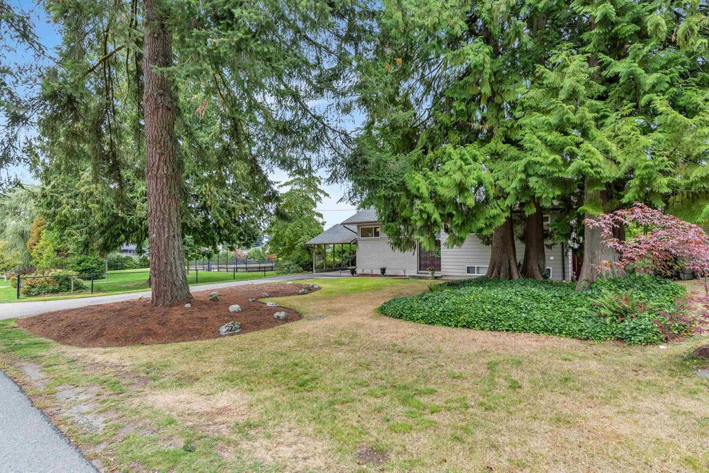 listing image 1109094307674392474