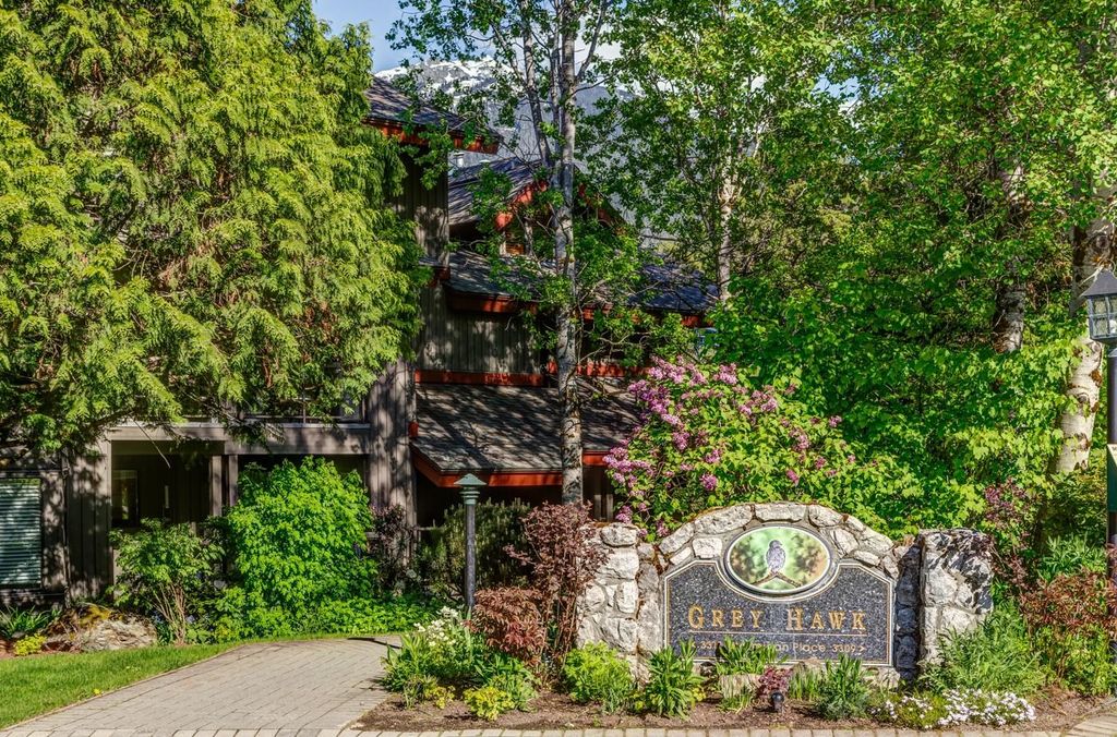 listing image 1104896659106793496