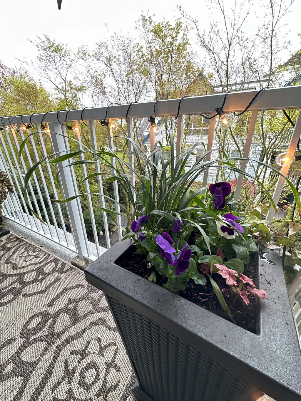 listing image 1107394809652643302