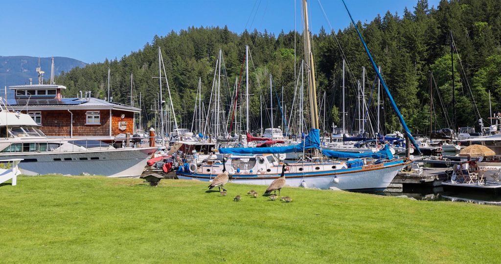 listing image 1108290522484613479