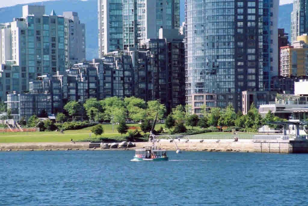listing image 1103379022899503884