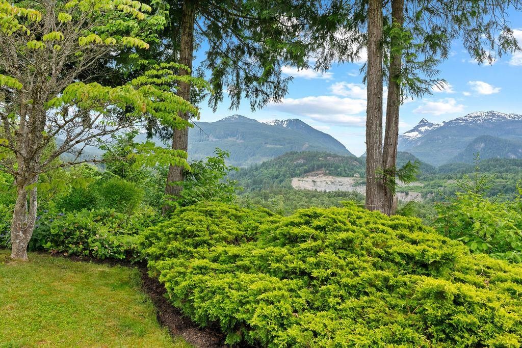 listing image 1101120523149902323