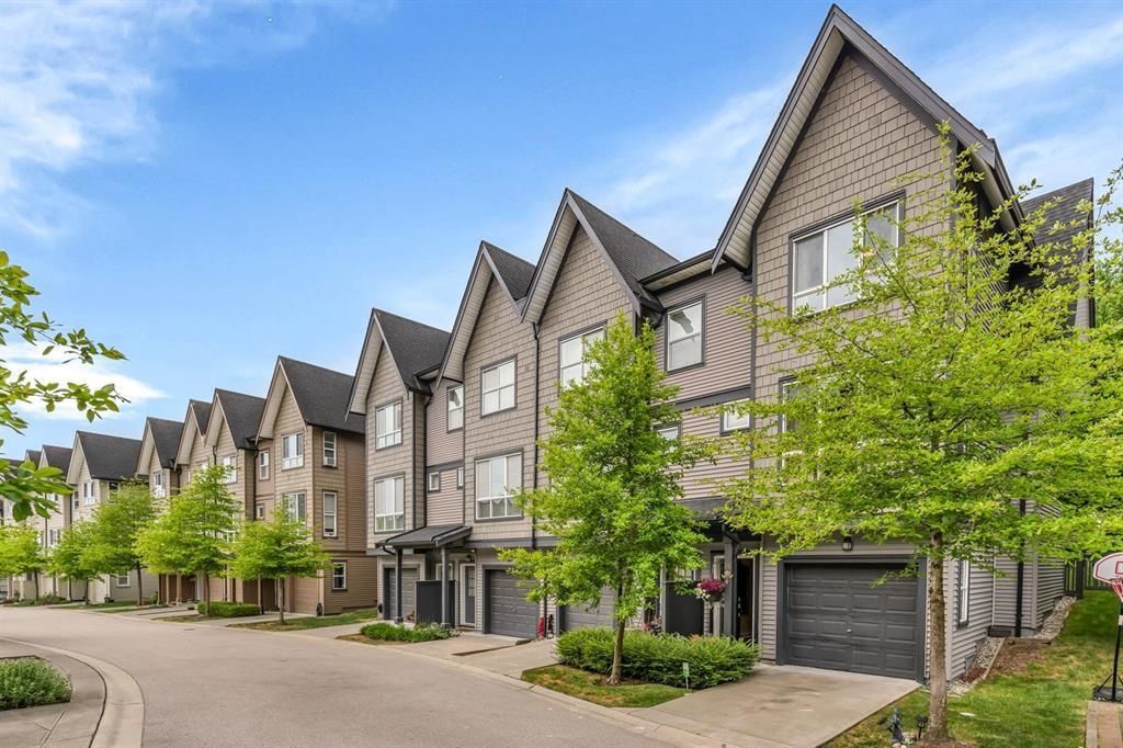 listing image 1102167215694997414