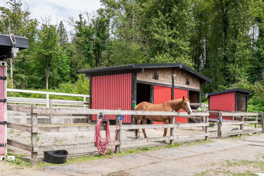 Photo of 24991 100 Avenue, Maple Ridge, BC V2W 1S3 (MLS # R3144062)