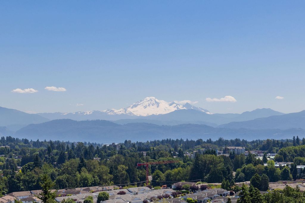 listing image 1102965898743127640