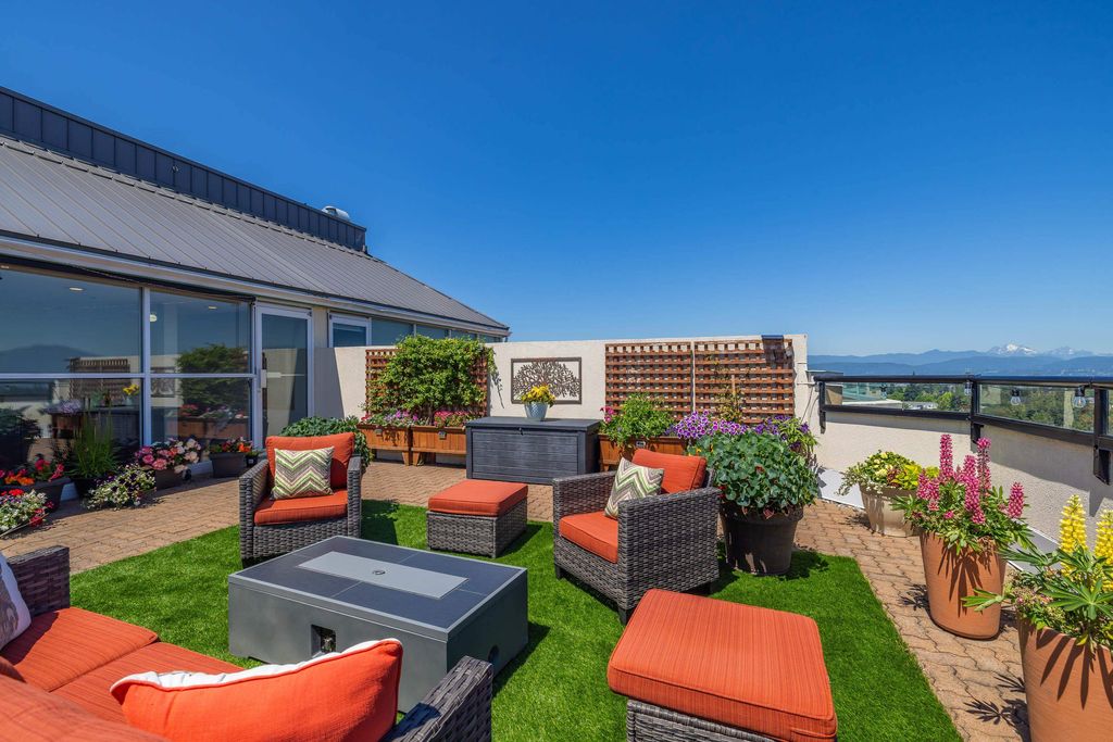 listing image 1100262464542304729