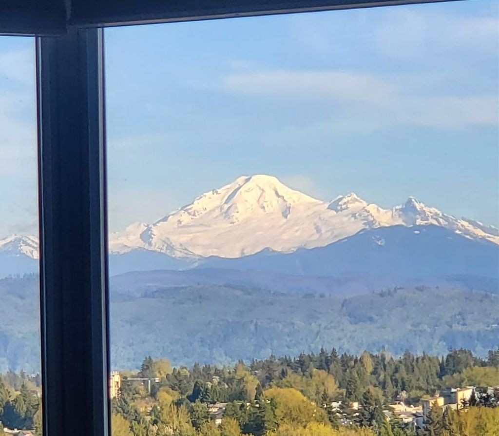 listing image 1100356468310467401