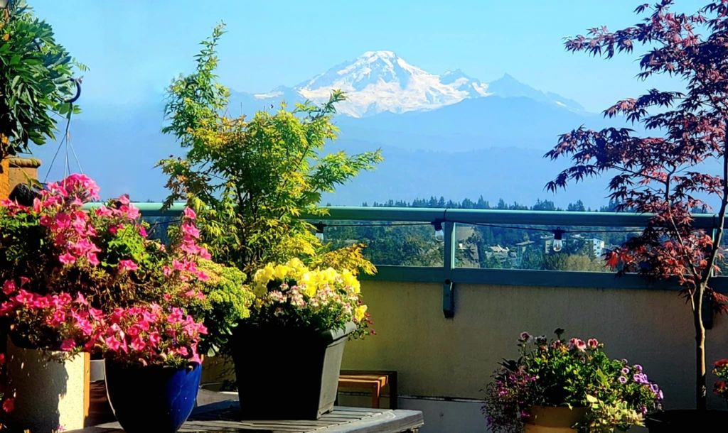 listing image 1101808773178498155