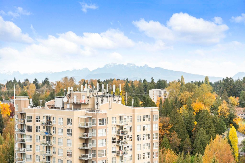 listing image 1103284403239416615