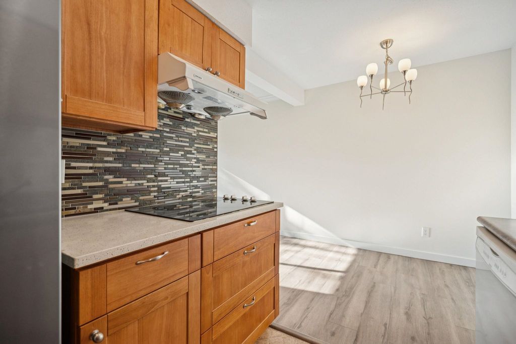 listing image 1101817138612583221