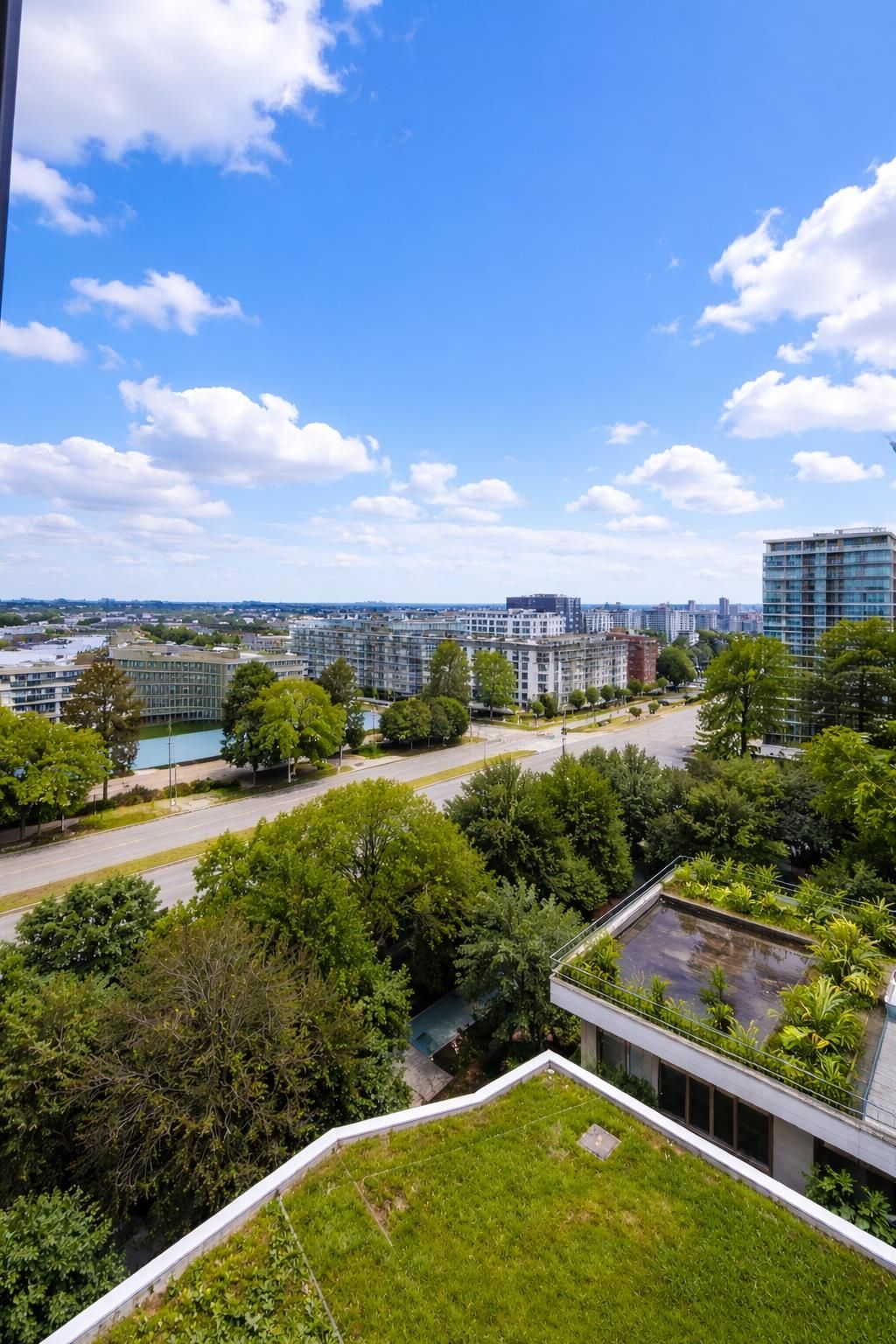 listing image 1100755467058893618