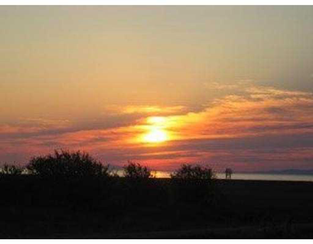 listing image 1107206744495479136