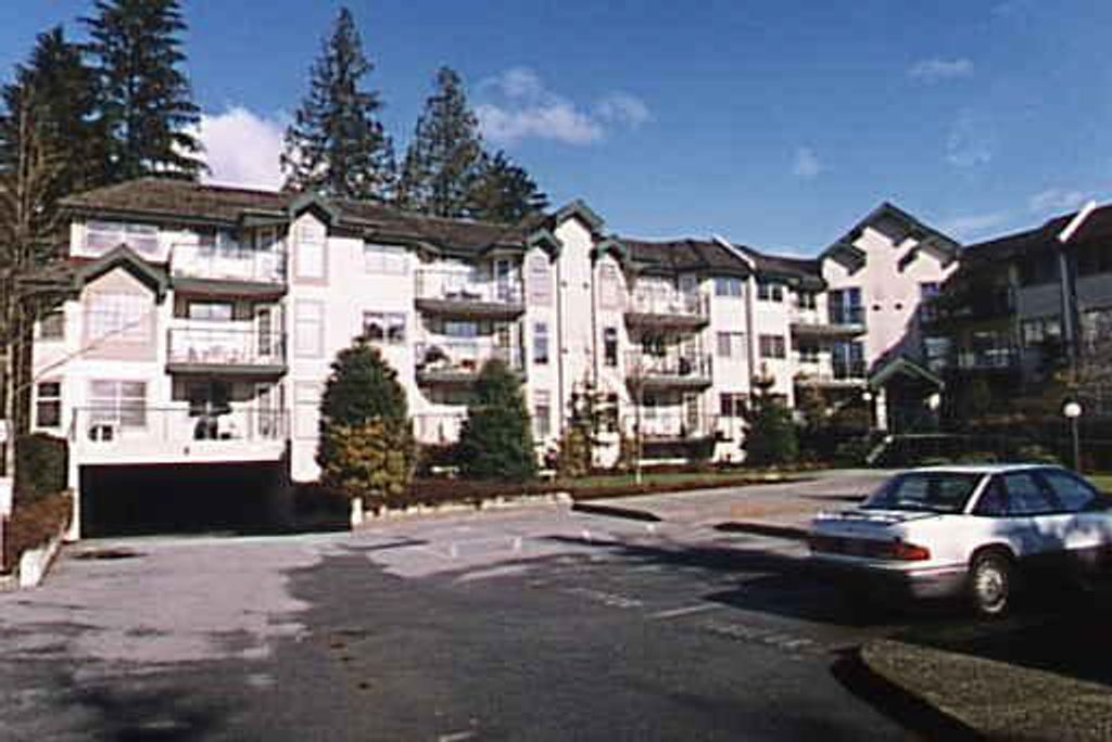 listing image 1104019288039115603