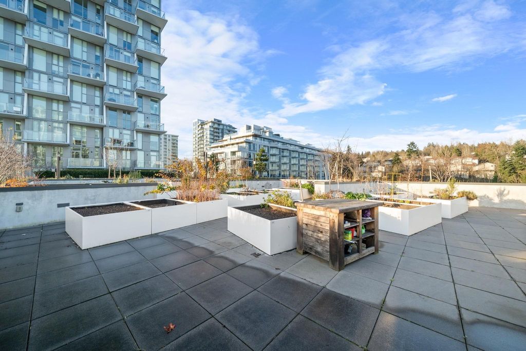 listing image 1105823048640810764