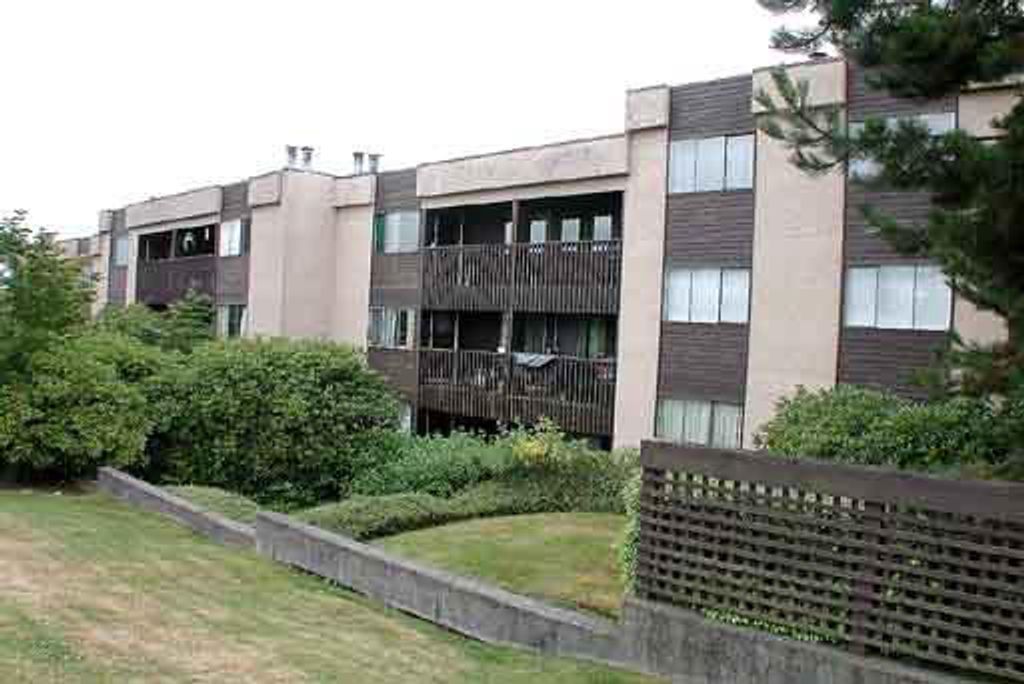 listing image 1105047731074341044