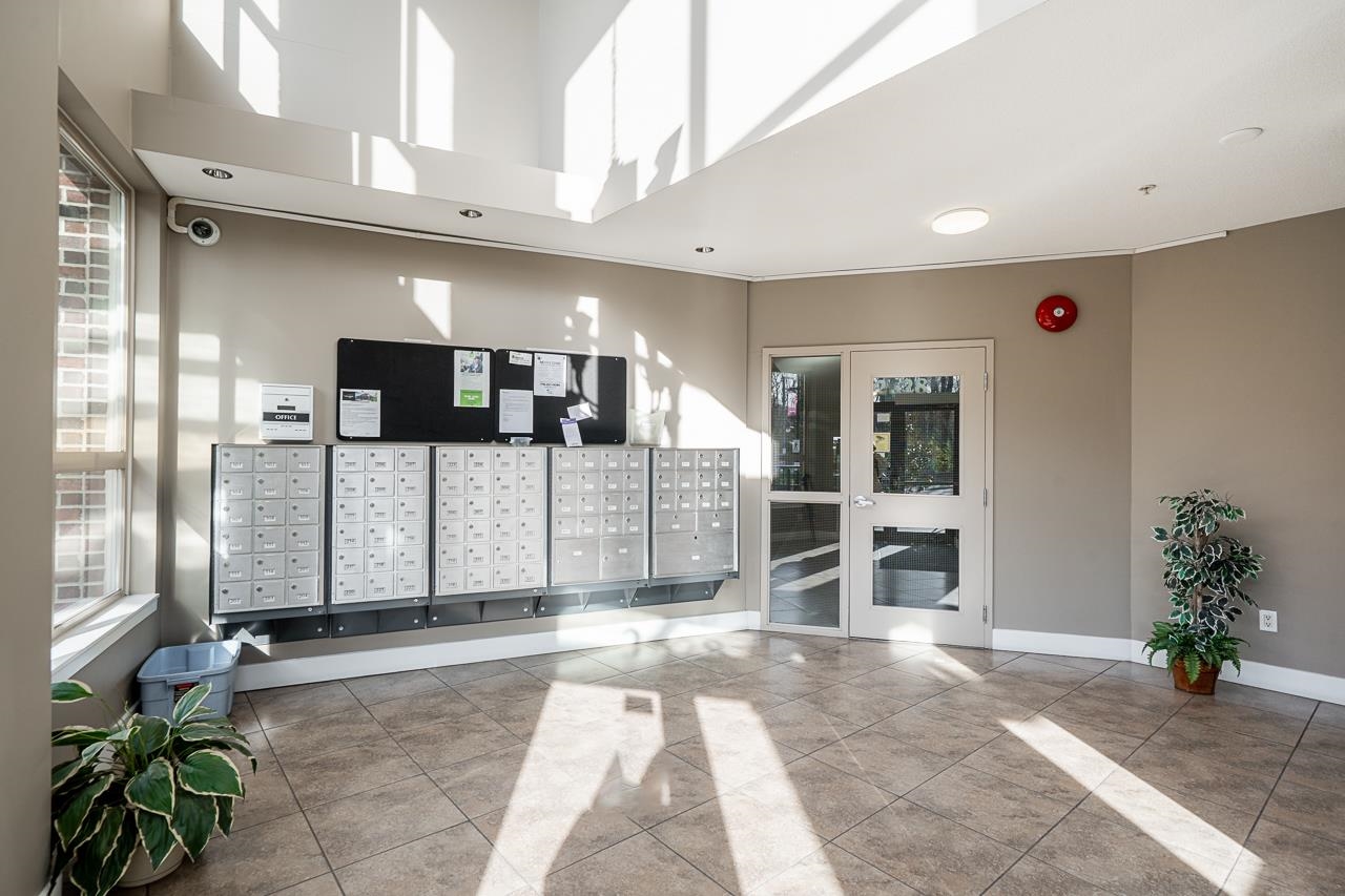 2628 Maple Street 215