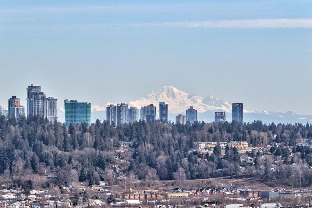 listing image 1101624015583077050