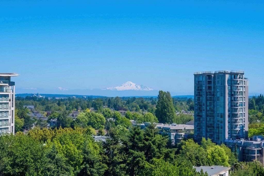 listing image 1107293881919216258