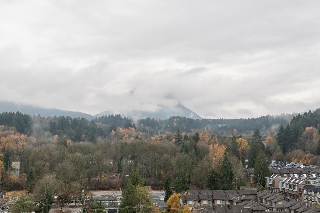 listing image 1101970262384300362