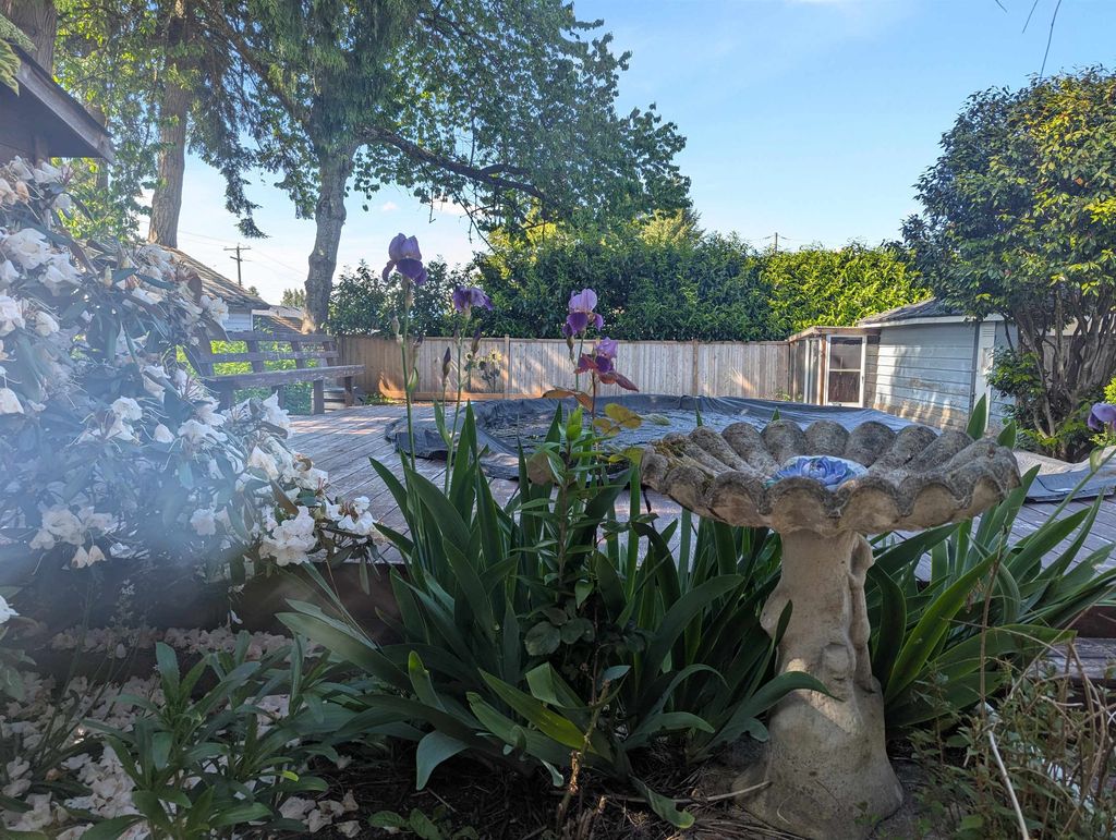 listing image 1102682451964721747