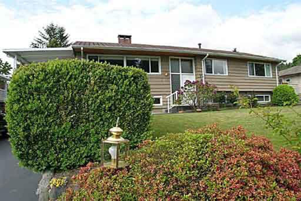 listing image 1101926935884910964