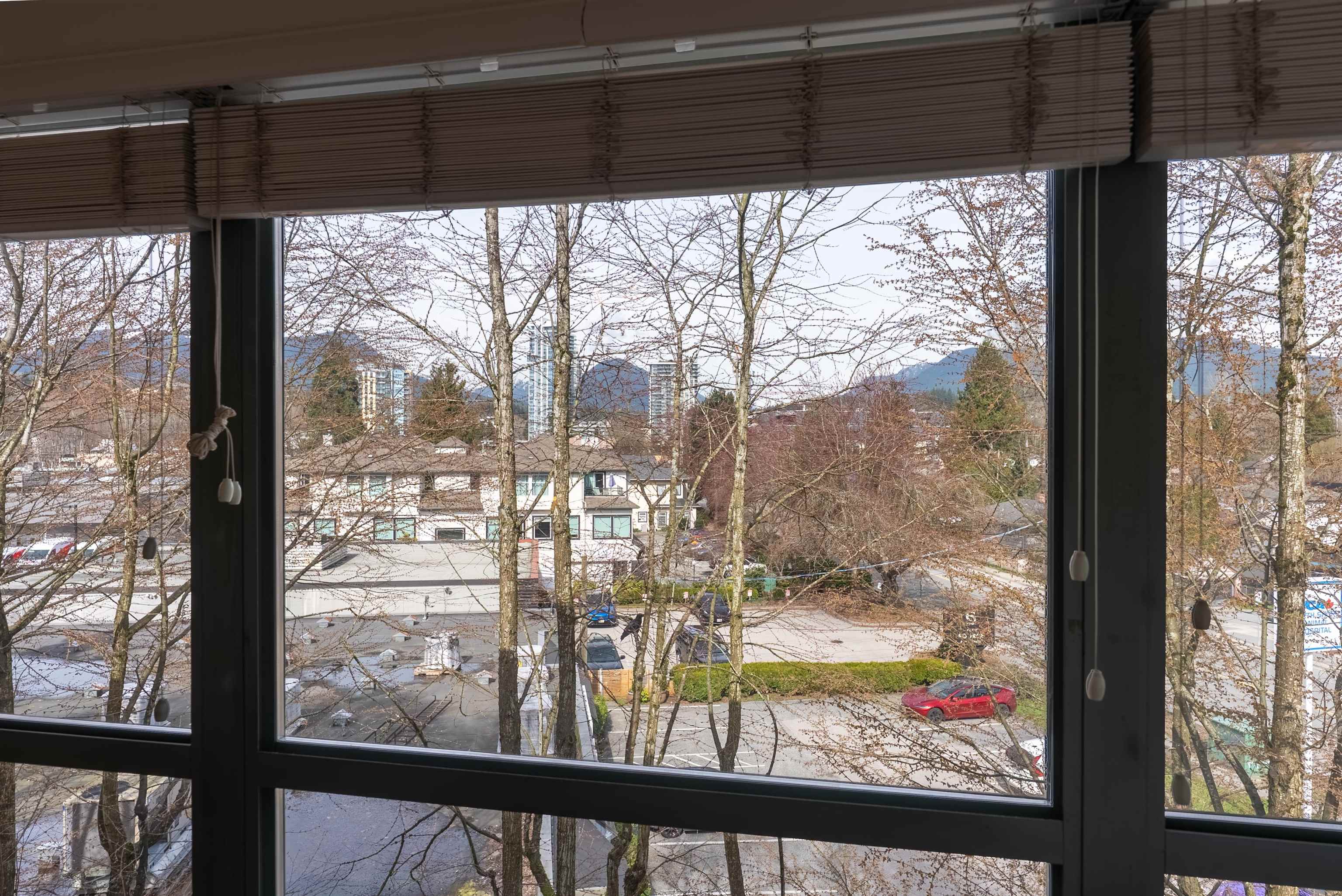 223 Mountain Highway P12