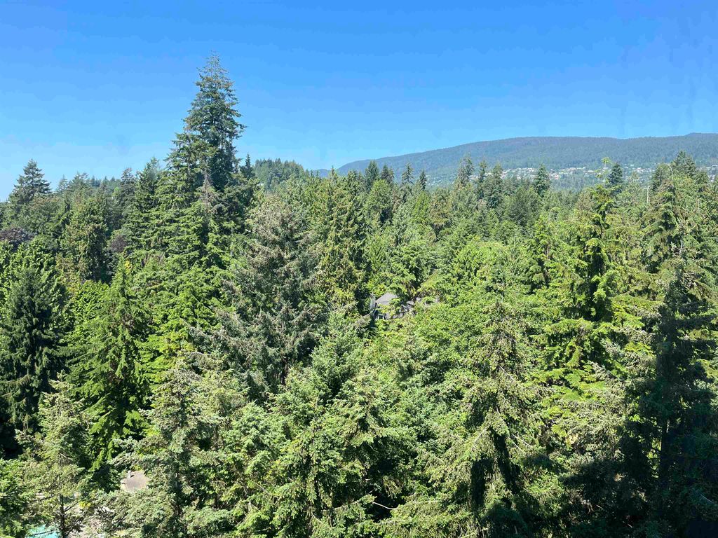 listing image 1107968549176453647