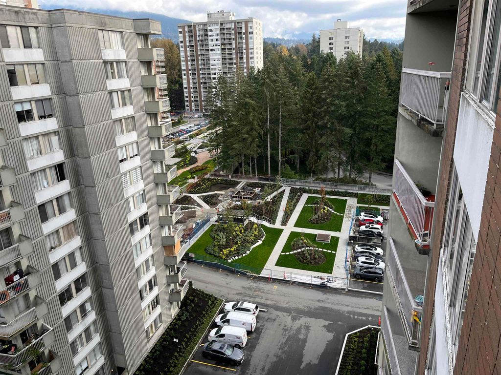 listing image 1100016594918697454