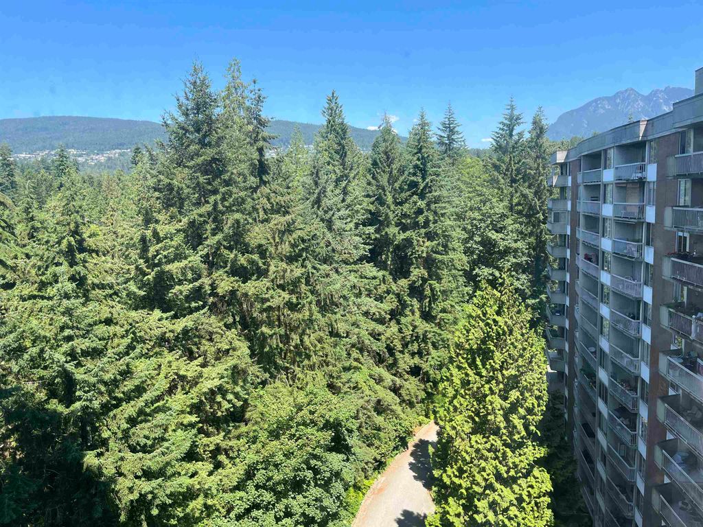 listing image 1109399624601531190