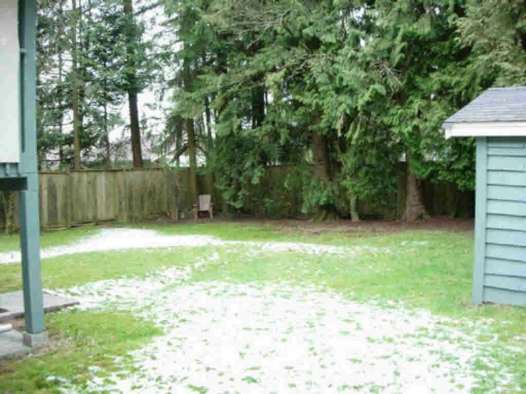 listing image 1100517384367617262