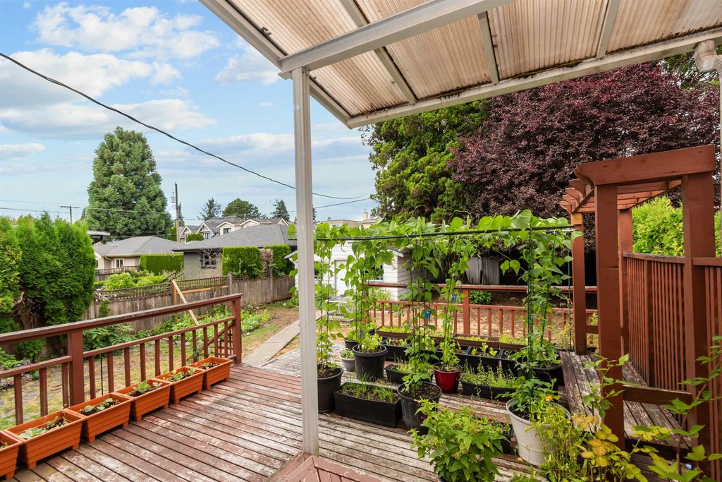 listing image 1108252734738519897