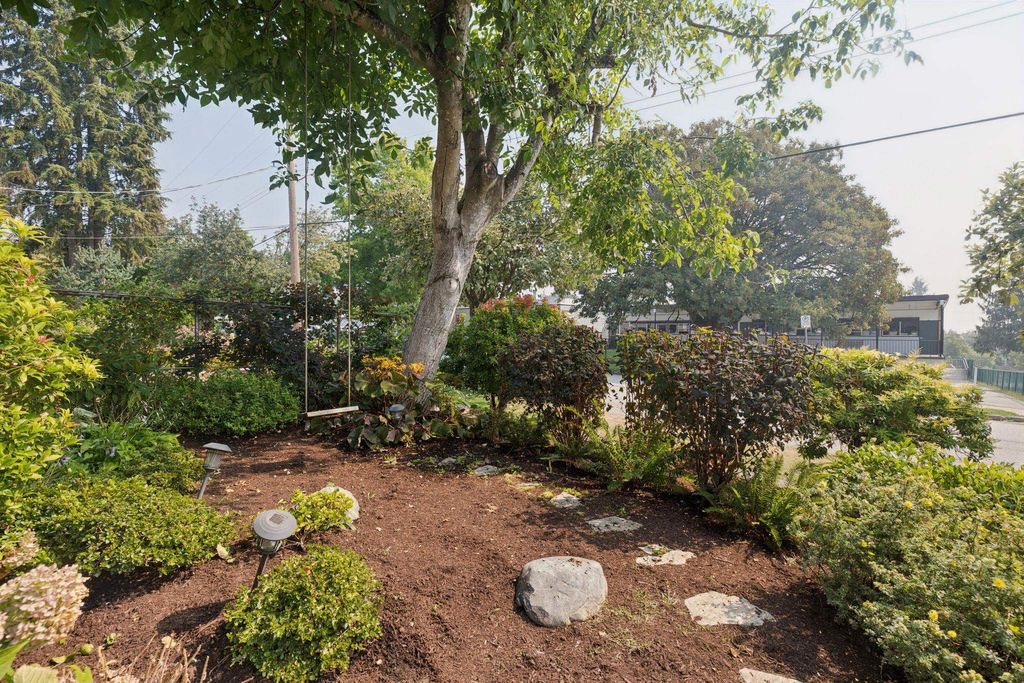 listing image 1101525999011177640
