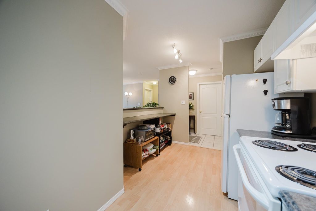 listing image 1102067804475844279