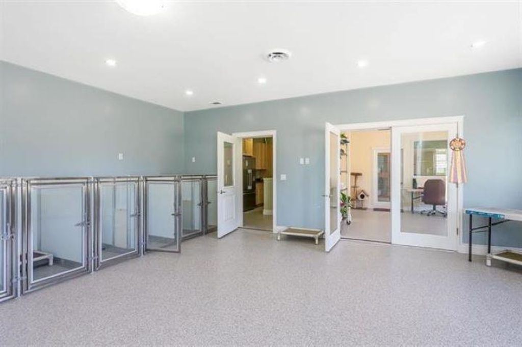 listing image 1106667122004101908
