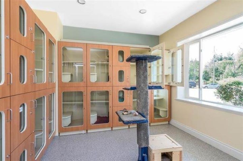 listing image 1108701198008047265