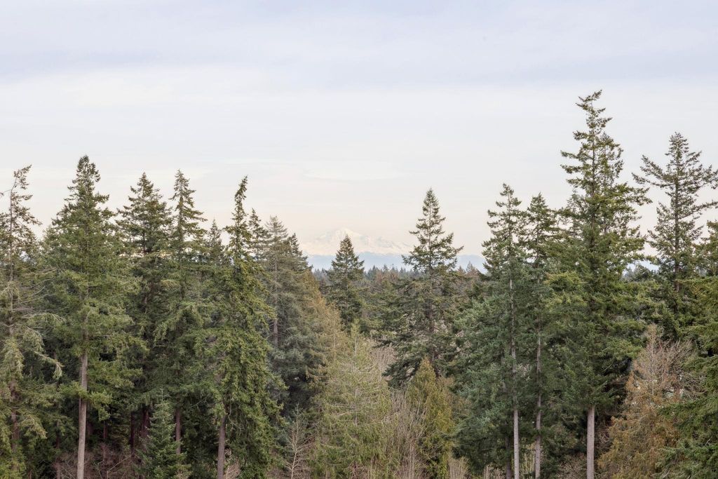 listing image 1104837674655972637