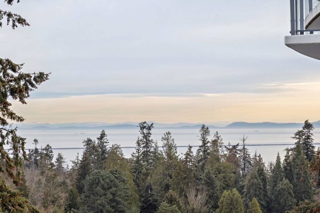 listing image 1104995797162314972